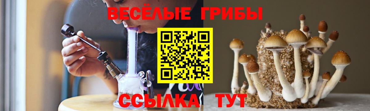 Псилоцибиновые грибы Cubensis Белебей